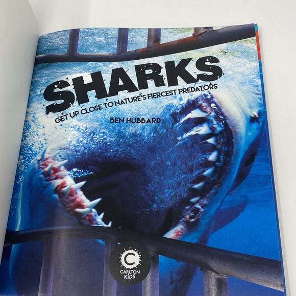 Sharks by Ben Hubbard Children's Book - Picture 5 of 6